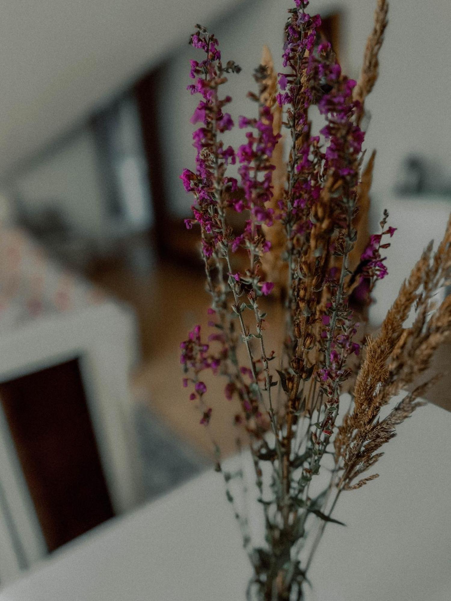 Boho Przystan Łazy エクステリア 写真