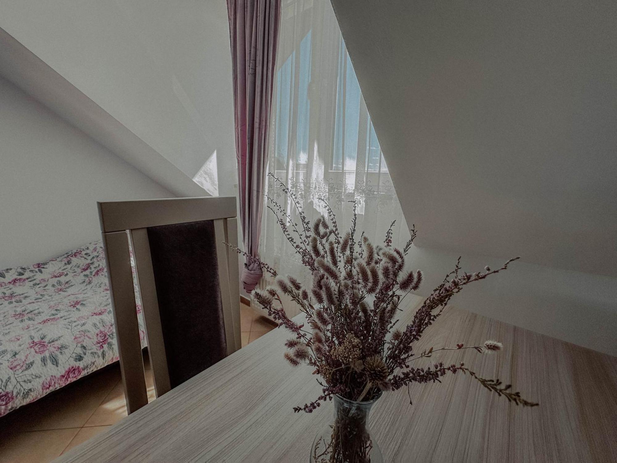 Boho Przystan Łazy エクステリア 写真