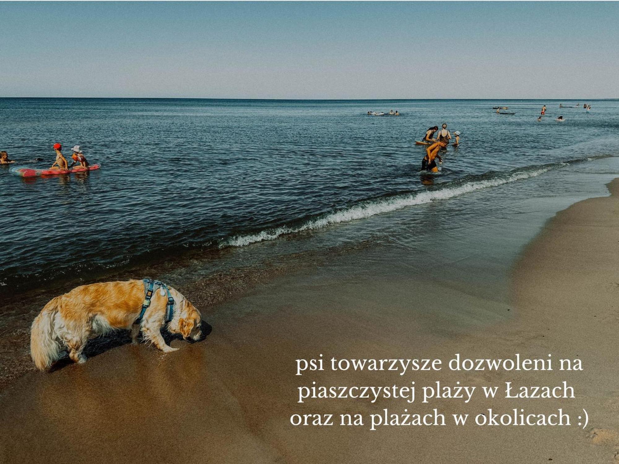 Boho Przystan Łazy エクステリア 写真