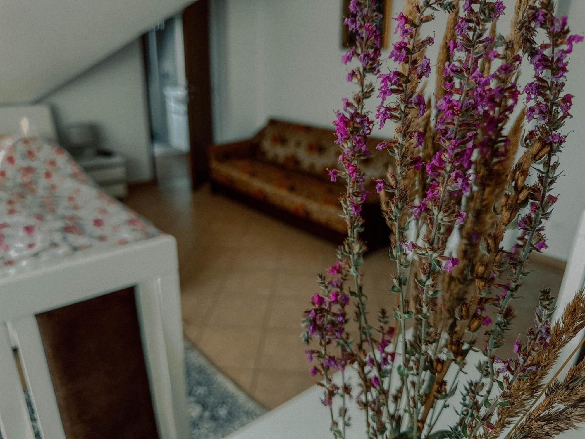 Boho Przystan Łazy エクステリア 写真